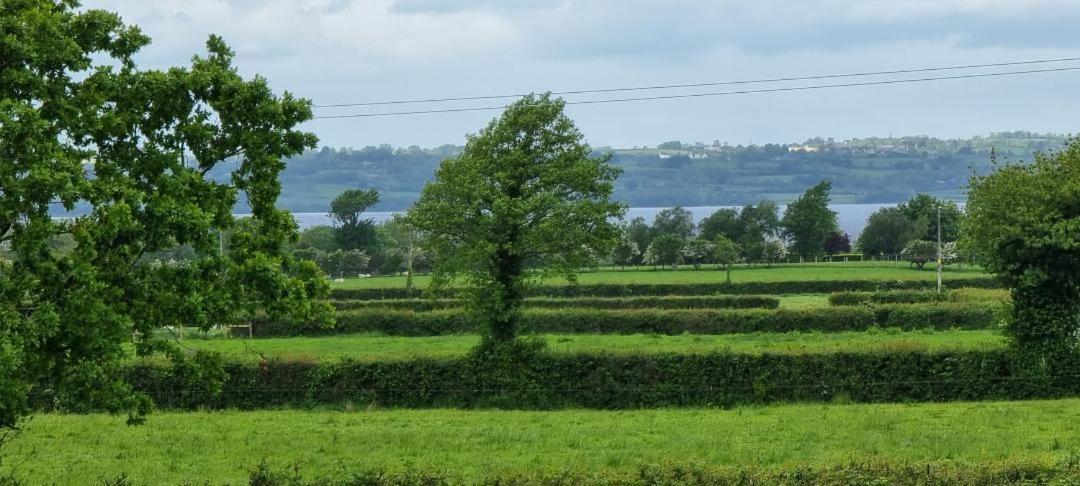Boutique Country House Aldergrove Crumlin  Buitenkant foto